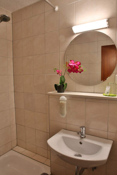 Kleines Hotelbadezimmer mit Dusche, Waschbecken, rundem Spiegel, Wandbeleuchtung und dekorativer Blume.